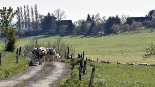 Après dix mois de travaux, la mission parlementaire sur le foncier agricole a présenté son rapport le 4 décembre 2018. © Cédric Faimali/GFA Après dix mois de travaux, la mission parlementaire sur le foncier agricole a présenté son rapport le 4 décembre 2018. © Cédric Faimali/GFA