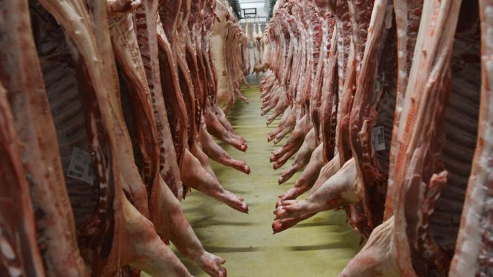 © Cédric Faimali/GFA