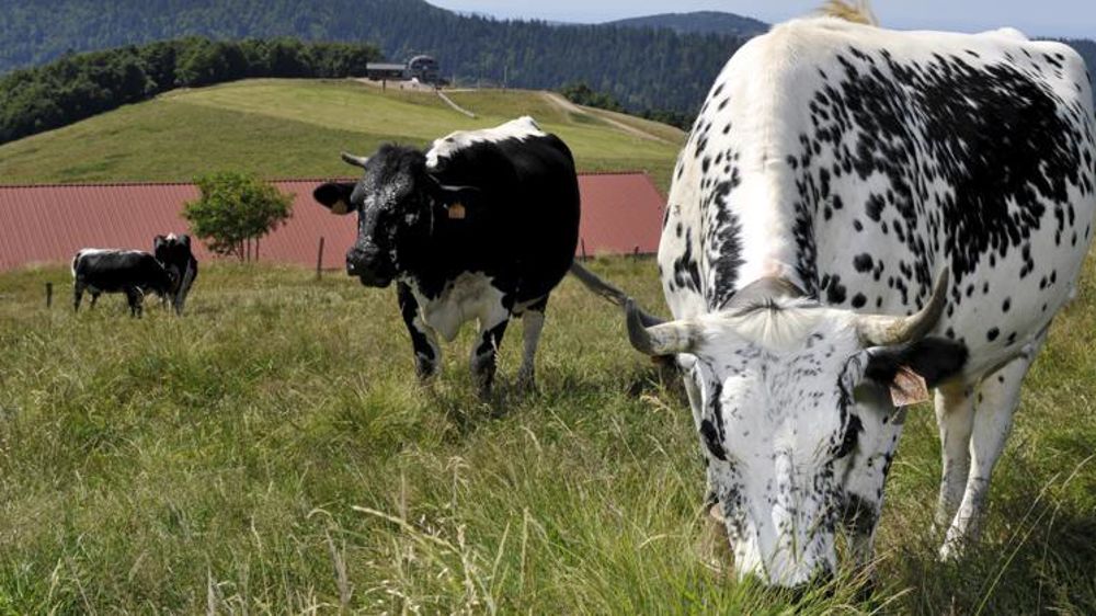 Le ministère français de l’Agriculture annonce que la Commission européenne a validé officiellement le nouveau zonage ICHN applicable dès 2019. © C. Faimali/GFA