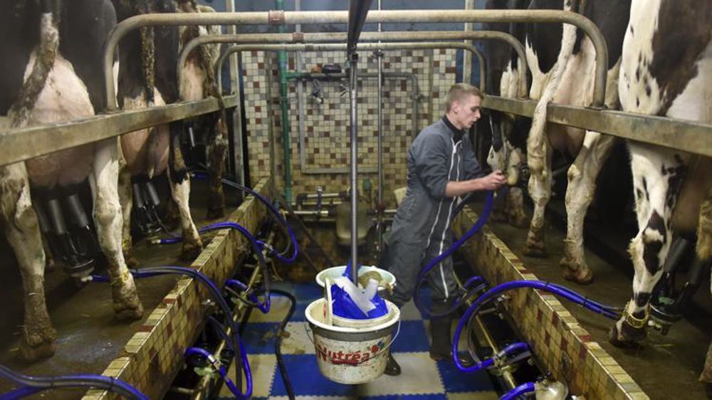 © Cédric Faimali/GFA