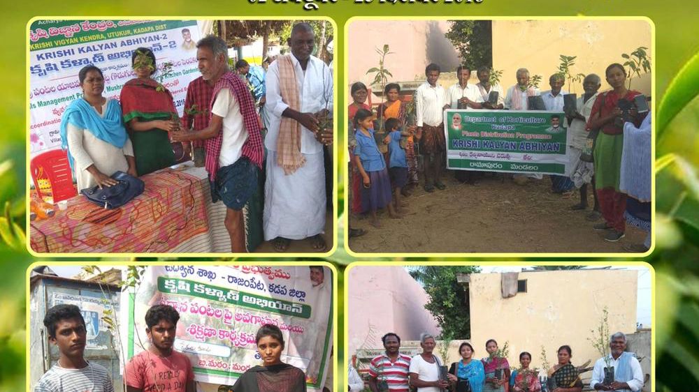 « Campagne Agri-protection-II » en cours du 2 octobre 2018 au 25 décembre 2018 par le ministère de l’Agriculture et du bien-être des agriculteurs, en vertu de laquelle l’agriculture et les activités connexes sont promues dans les districts concernés. © Twitter Agriculture India