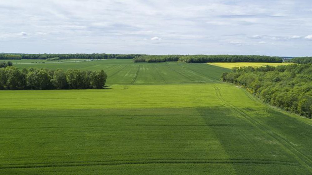 © Cédric Faimali/GFA