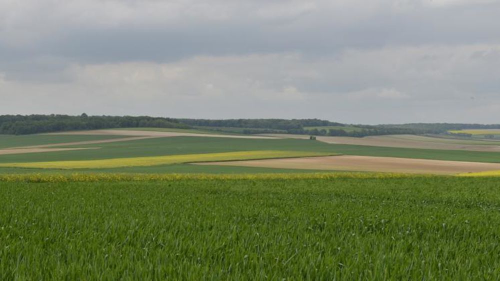 © Cédric Faimali/GFA