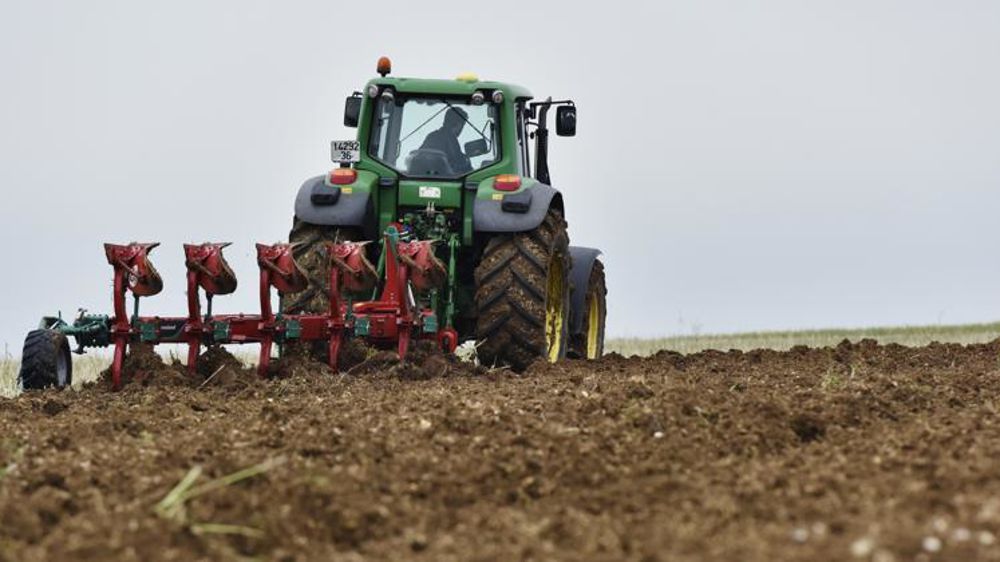 En 2017, la France comptait 448 500 chefs d’exploitation agricole, selon la MSA. © C. Faimali/GFA