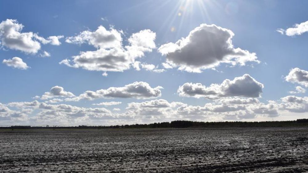 En 2018, 1 407 entreprises agricoles étaient en procédure de sauvegarde, en redressement ou en liquidation judiciaire. © R. Aries