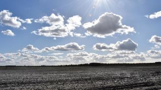 En 2018, 1 407 entreprises agricoles étaient en procédure de sauvegarde, en redressement ou en liquidation judiciaire. © R. Aries En 2018, 1 407 entreprises agricoles étaient en procédure de sauvegarde, en redressement ou en liquidation judiciaire. © R. Aries