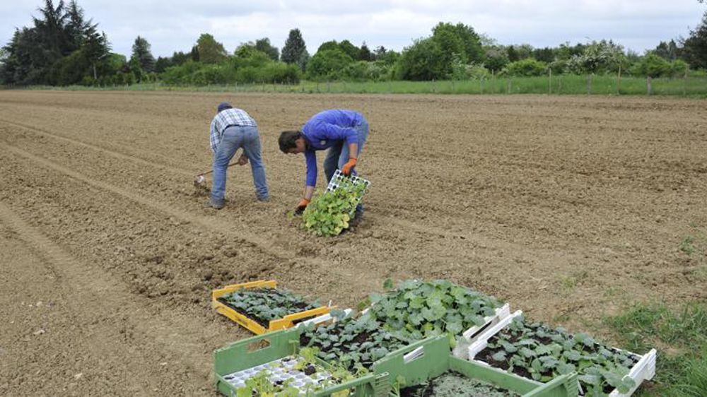 © Cédric Faimali/GFA