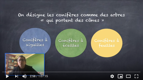 Stéphane de Raffin créée des vidéos de reco des végétaux, spécialement pour ses élèves, partagées par tous sur un groupe Facebook.  f.arnould
