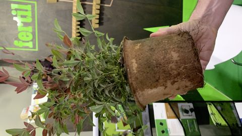 Fertilpot a lancé sa gamme de pots biodégradables NT