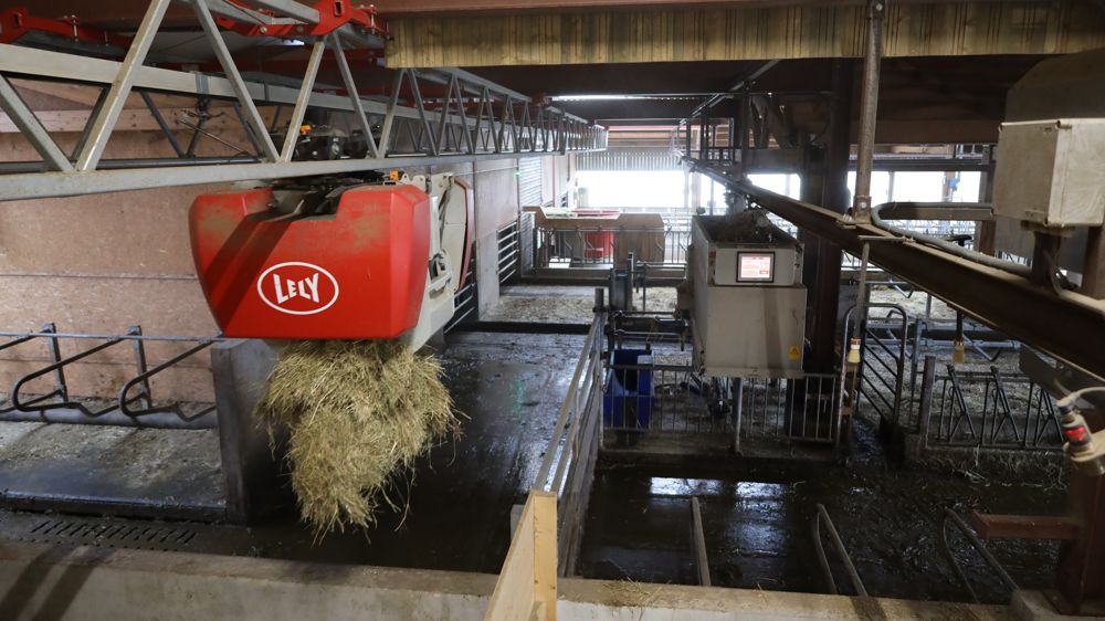 Les deux robots, l'un pour l’alimentation et l'autre pour le paillage, peuvent travailler indépendamment et en même temps sans perturber l’ambiance du troupeau.