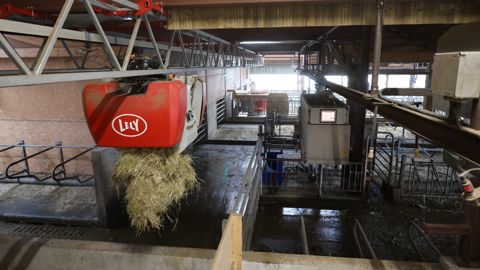 Les deux robots, l'un pour l’alimentation et l'autre pour le paillage, peuvent travailler indépendamment et en même temps sans perturber l’ambiance du troupeau. Les deux robots, l'un pour l’alimentation et l'autre pour le paillage, peuvent travailler indépendamment et en même temps sans perturber l’ambiance du troupeau.