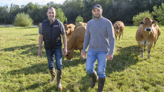 Le nombre de chefs d'exploitation a diminué de 3,2% en lait et de 1,6% en viande, indique la MSA Le nombre de chefs d'exploitation a diminué de 3,2% en lait et de 1,6% en viande, indique la MSA