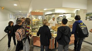 65 % des parents souhaitent des « solutions alternatives innovantes de la part des pouvoirs publics pour éviter de payer plus cher la cantine de leur enfant ». 65 % des parents souhaitent des « solutions alternatives innovantes de la part des pouvoirs publics pour éviter de payer plus cher la cantine de leur enfant ».
