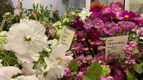 Si l’on en croit la récente enquête menées par Kantar à la demande de l’Office Hollandais des Fleurs, les consommateurs ont du mal à transformer leurs intentions d’achat de produits plus responsables en action.