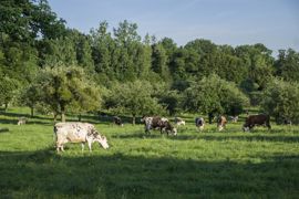 A l’occasion des visites d’exploitation, programmées dans un premier temps dans les Pays de la Loire, un diagnostic de la biodiversité sera établi par un naturaliste de la LPO afin d’engager un dialogue avec le public. A l’occasion des visites d’exploitation, programmées dans un premier temps dans les Pays de la Loire, un diagnostic de la biodiversité sera établi par un naturaliste de la LPO afin d’engager un dialogue avec le public.