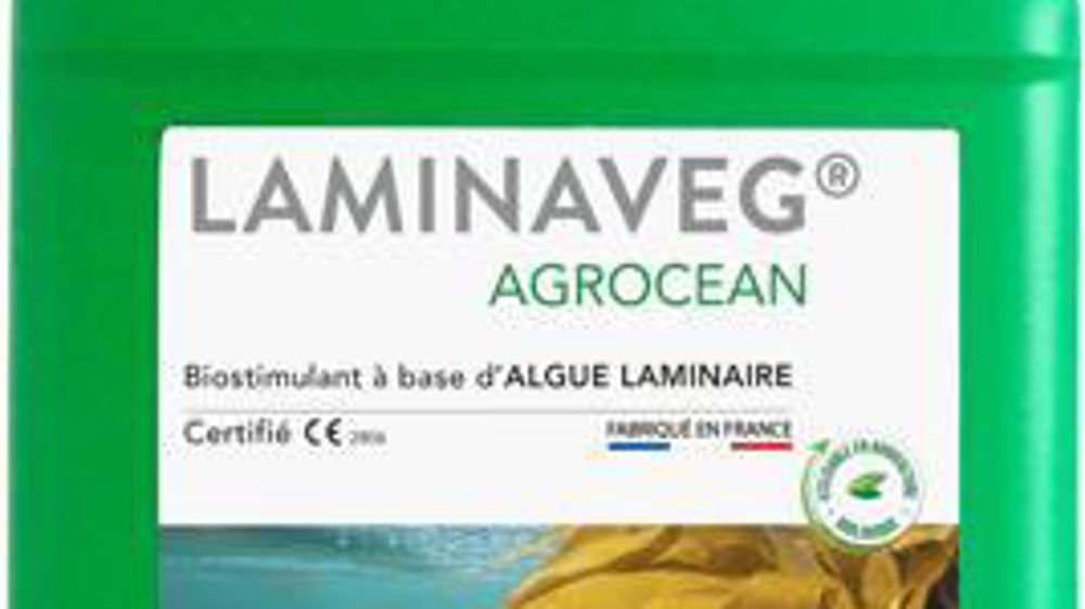 Le Laminaveg d’Agrimer certifié CE, issu de la concentration et de la micronisation de composés d’algues laminaires Laminaria digitata, contient entre autres des principes actifs comme le mannitol, la laminarine, des polyphénols, des alginates, de l’iode et des fucanes.