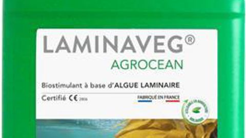 Le Laminaveg d’Agrimer certifié CE, issu de la concentration et de la micronisation de composés d’algues laminaires Laminaria digitata, contient entre autres des principes actifs comme le mannitol, la laminarine, des polyphénols, des alginates, de l’iode et des fucanes.