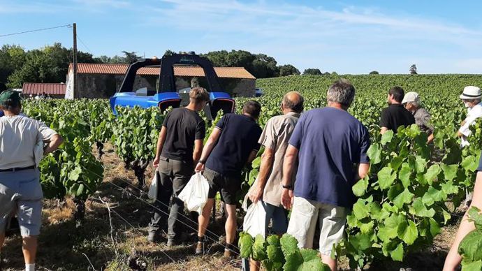 Le 12 juillet, sur sa plateforme d’innovation du Pâtis Malaise, la CAMN présentait à ses clients des nouveautés en biocontrôle. Aujourd’hui, la coopérative doit gérer au mieux les stocks de produits qui nécessitent des conditions particulières.