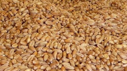 Les prix de l'alimentation ont fortement augmenté en juillet 2012
