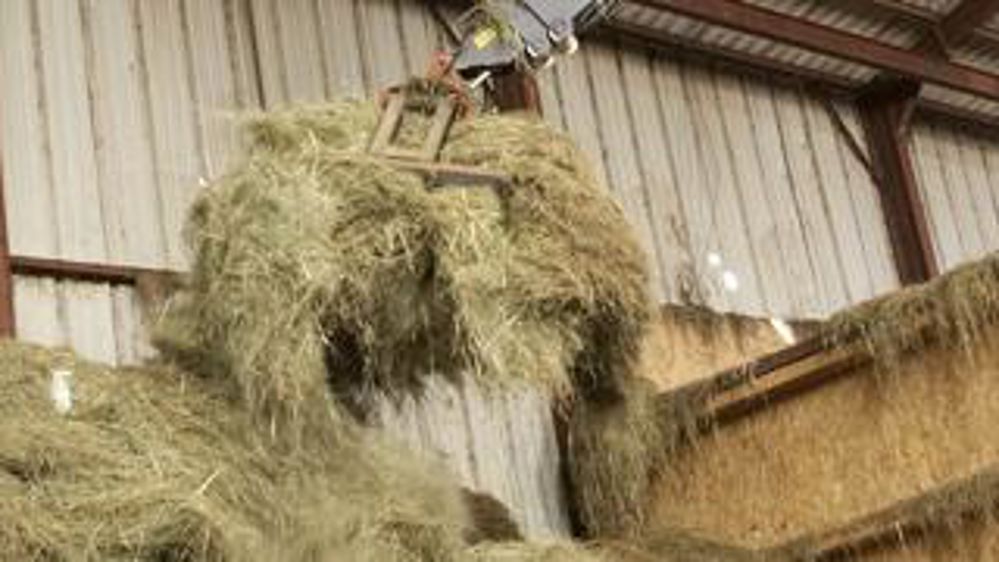 Une cinquantaine d’éleveurs de l’Ouest, bio ou non, respectant  le cahier des charges, seraient prêts à démarrer, soit 18 à 20 millions de litres de lait.Pierre  Soissons