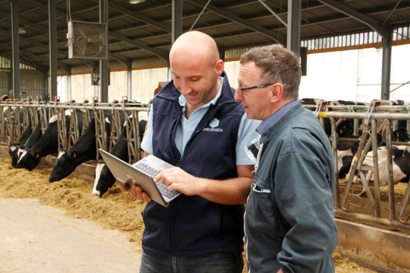
						Succès. À la fin septembre, on compte 8 000 éleveurs ayant signé pour se rattacher à l’OS Gènes Diffusion. 
							© Gènes Diffusion