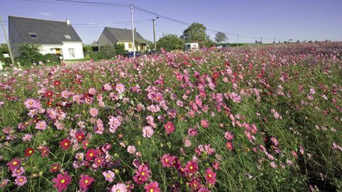 La biodiversité peut faire partie de l’offre d’un PSE.