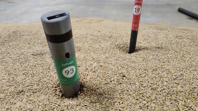 IoTrap s’installe dans le tas de grains, de préférence à proximité d’une sonde de thermométrie.