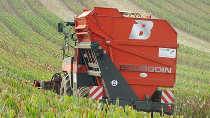 En 2014, 38 adhérents du groupe Comptoir agricole ont récolté du maïs semences sur 400 hectares. A terme, la culture devrait couvrir 3 000 hectares. © M. LUTHIER/COMPTOIR AGRICOLE En 2014, 38 adhérents du groupe Comptoir agricole ont récolté du maïs semences sur 400 hectares. A terme, la culture devrait couvrir 3 000 hectares. © M. LUTHIER/COMPTOIR AGRICOLE