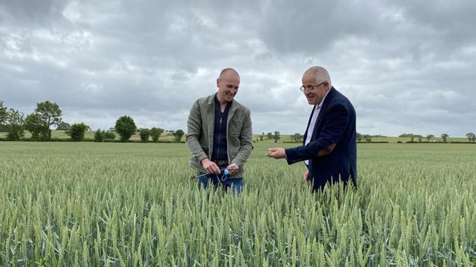 Les blés La Belle Terre sont à 70 % des blés meuniers et 30 % des blés de force. Ici, Mickaël Proust, agriculteur à Saint-Symphorien dans les Deux-Sèvres (à g.), et Gilles Monaury, directeur de VSN. © L’AGENCE VACHE