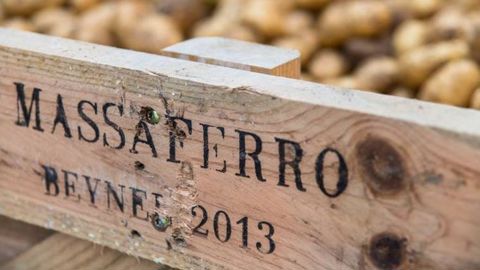 L’entreprise familiale Massaferro, à La Crau (Var), collecte, conditionne et commercialise chaque année 35 000 t de pommes de terre. © MASSAFERRO