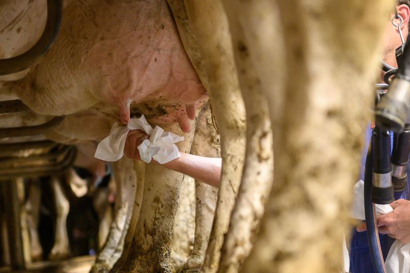 Jean-Michel Nossant. 