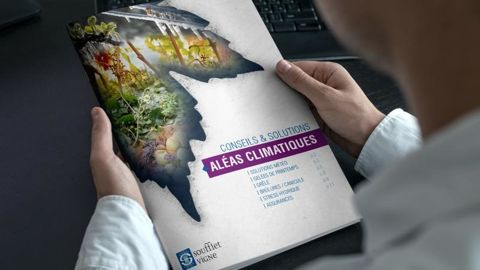 L’offre « Aléas climatiques » de Soufflet Vigne propose des solutions techniques, mais également économiques.
