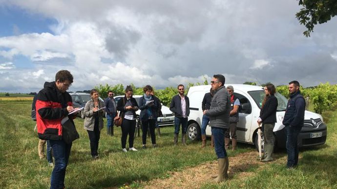 En juin 2020, le négoce charentais Fortet-Dufaud a présenté des essais de désherbage en vigne dans le cadre de Vert l’avenir. Avec cette convention, le programme s’étend dans la France entière.