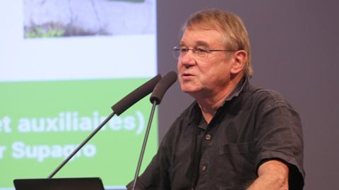 Les familles les plus fréquentes se recrutent chez les coléoptères et les hémiptères (mouches), et selon Alain Roques, entomologiste et chercheur à l’Inrae, « la France et l’Italie sont souvent les premiers pays colonisés en Europe ». © A.-M. LAVILLE