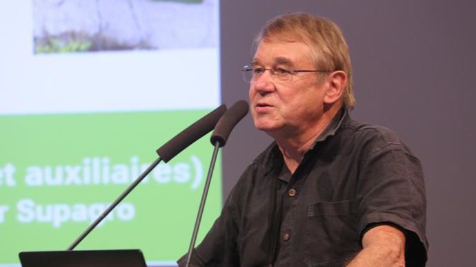 Les familles les plus fréquentes se recrutent chez les coléoptères et les hémiptères (mouches), et selon Alain Roques, entomologiste et chercheur à l’Inrae, « la France et l’Italie sont souvent les premiers pays colonisés en Europe ». © A.-M. LAVILLE