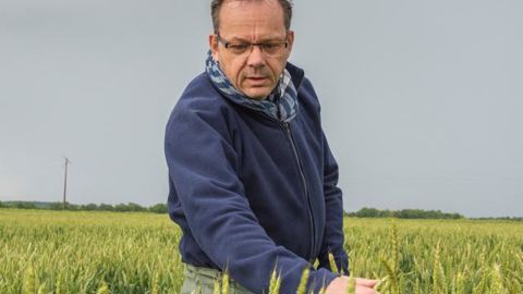 Claude Maumené, ingénieur Arvalis : « Le nombre de passages fongicides reste l’un des plus bas des quinze dernières années. » © CORNEC/ARVALIS