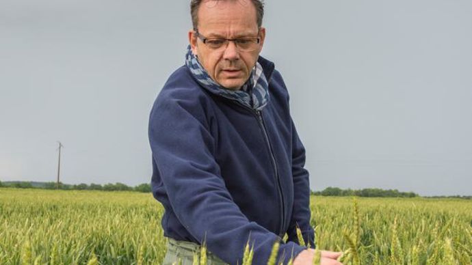 Claude Maumené, ingénieur Arvalis : « Le nombre de passages fongicides reste l’un des plus bas des quinze dernières années. » © CORNEC/ARVALIS