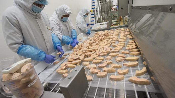 L’usine Euralis Gastronomie de Maubourguet (Hautes-Pyrénées), d’une capacité d’abattage de 20 000 canards par jour, a dû être fermée six mois sur cette année 2021. © L.PASCAL