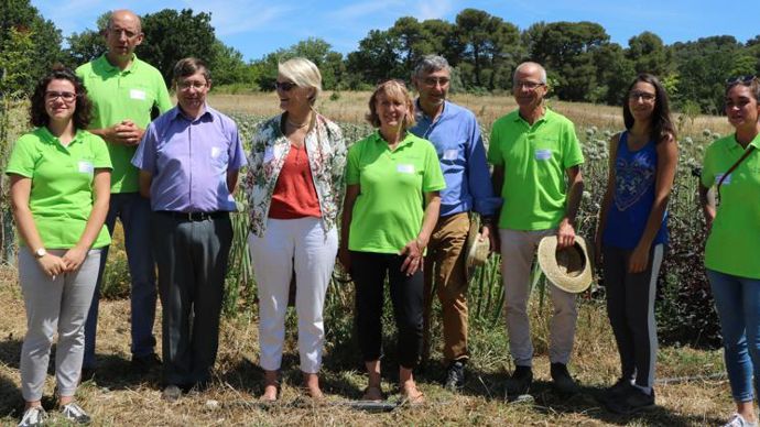Les responsables Sud-Est et de la section potagères de Semae et une partie de l’équipe d’AgroSemens dans la ferme expérimentale du semencier, à Aix-en-Provence (Bouches-du-Rhône). B. CAILLIEZ