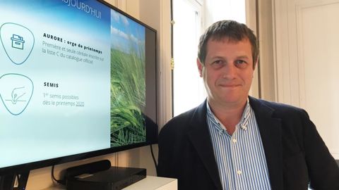 Responsable développement chez Secobra Recherches, Florent Cornut présente une variété ancienne d’orge brassicole, Aurore, remise sur le marché au printemps 2020 après son inscription en liste C début 2019. © H. LAURANDEL