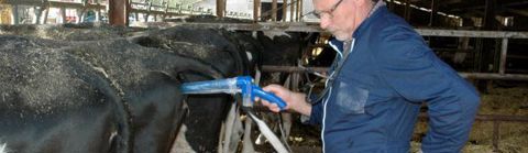 Innovation. Visionner le col de l’utérus lors d’une IA n’est pas la véritable innovation de l’Eye Breed. Elle est dans la solution trouvée pour immobiliser le col et franchir facilement les anneaux, d’après ses concepteurs. J.-M.V.