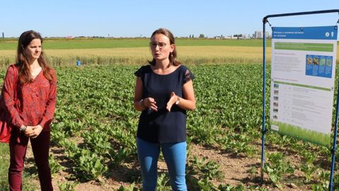 Laura Loffler (à gauche), responsable développement de l’activité bio chez Tereos, et Marthe Crombez, chef de projet filière betterave bio. © B. CAILLIEZ