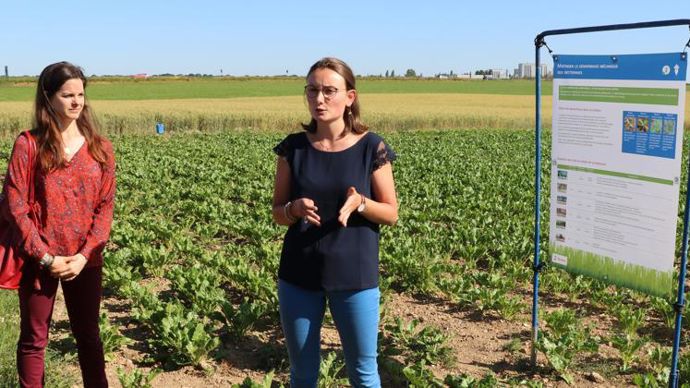 Laura Loffler (à gauche), responsable développement de l’activité bio chez Tereos, et Marthe Crombez, chef de projet filière betterave bio. © B. CAILLIEZ