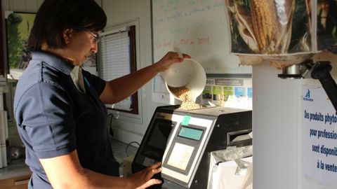Attentive à mesurer l’humidité d’un échantillon de blé, Lucie Oechsel, agent polyvalent silo au négoce Armbruster, est la première femme embauchée en silo en CDI.
