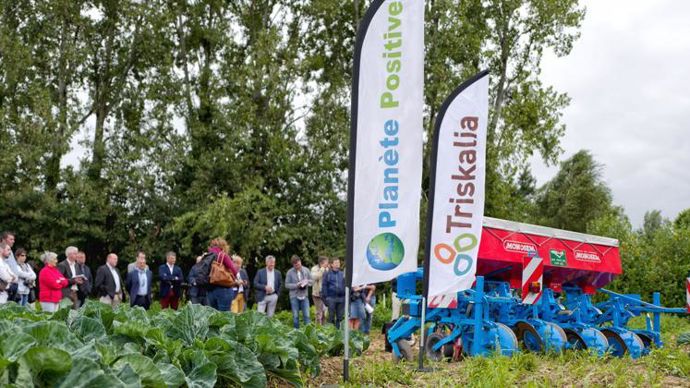 Le 5 septembre, dans les environs de Pontivy-Loudéac, Triskalia organisait une journée d’échanges et de témoignages chez l’un de ses producteurs de légumes en présence d’acteurs de toute la filière, du champ à l’assiette.
