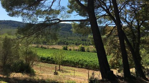 L’AOP Corbières exige désormais que tous les vignerons obtiennent d’ici cinq ans une certification HVE ou bio. © ARTERRIS