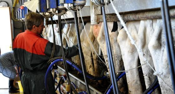 Sodiaal annonce des baisses de prix du lait.