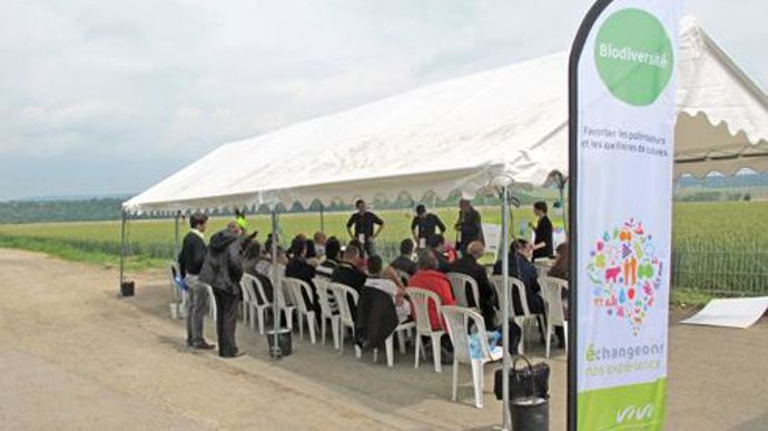 Lors de la journée, cinq ateliers se sont tenus autour de la biodiversité (ci-contre), du biocontrôle, des nouvelles technologies pour optimiser l'utilisation des engrais, du désherbage et de la communication positive sur l'agriculture. © M. COISNE Lors de la journée, cinq ateliers se sont tenus autour de la biodiversité (ci-contre), du biocontrôle, des nouvelles technologies pour optimiser l'utilisation des engrais, du désherbage et de la communication positive sur l'agriculture. © M. COISNE
