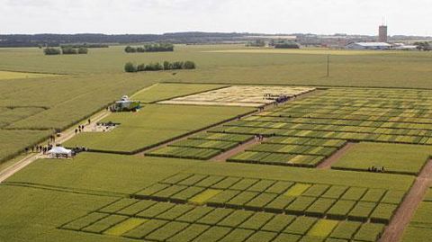 Plus de 350 adhérents de la coopérative ont visité dans un premier temps, le 4 juin, la plate-forme d'expérimentation, avant de se retrouver sur la station de semences située à Aigrefeuille-d'Aunis. © TERRE ATLANTIQUE Plus de 350 adhérents de la coopérative ont visité dans un premier temps, le 4 juin, la plate-forme d'expérimentation, avant de se retrouver sur la station de semences située à Aigrefeuille-d'Aunis. © TERRE ATLANTIQUE Plus de 350 adhérents de la coopérative ont visité dans un premier temps, le 4 juin, la plate-forme d'expérimentation, avant de se retrouver sur la station de semences située à Aigrefeuille-d'Aunis. © TERRE ATLANTIQUE Plus de 350 adhérents de la coopérative ont visité dans un premier temps, le 4 juin, la plate-forme d'expérimentation, avant de se retrouver sur la station de semences située à Aigrefeuille-d'Aunis. © TERRE ATLANTIQUE