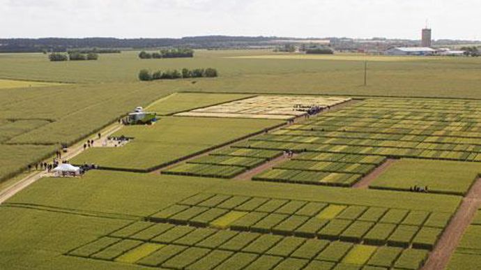 Plus de 350 adhérents de la coopérative ont visité dans un premier temps, le 4 juin, la plate-forme d'expérimentation, avant de se retrouver sur la station de semences située à Aigrefeuille-d'Aunis. © TERRE ATLANTIQUE Plus de 350 adhérents de la coopérative ont visité dans un premier temps, le 4 juin, la plate-forme d'expérimentation, avant de se retrouver sur la station de semences située à Aigrefeuille-d'Aunis. © TERRE ATLANTIQUE